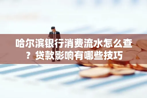 哈尔滨银行消费流水怎么查?贷款影响有哪些技巧